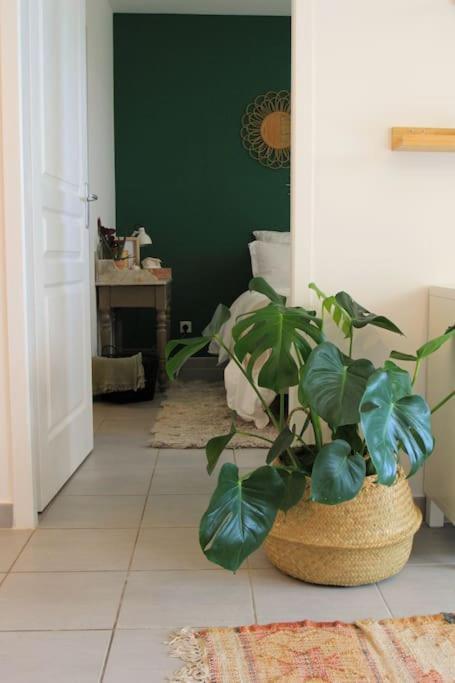 Cosy Appartement Entre Vignes Et Garrigue Avec Piscine Péret Buitenkant foto